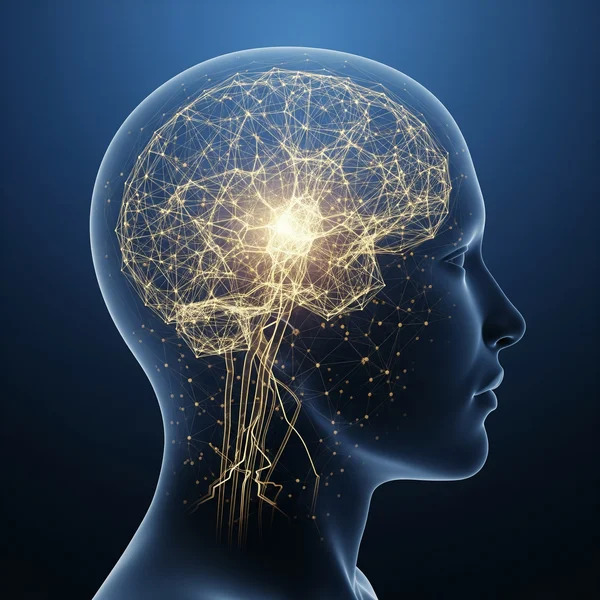 WAIS 测试领域的大脑通路抽象艺术图。