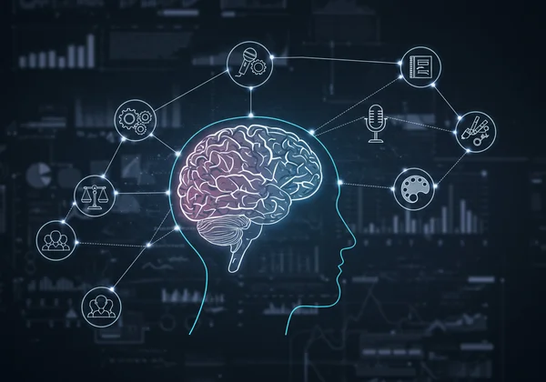 A blueprint connecting WAIS cognitive strengths to career paths.